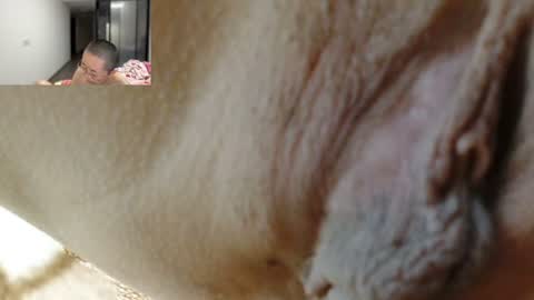 ANNYANNY online show from June 25, 2:54 pm