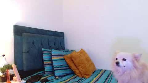 Cedrixx10 online show from November 11, 10:32 pm