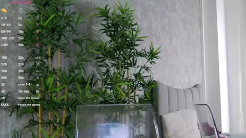 CelineMeyer online show from January 31, 1:56 pm