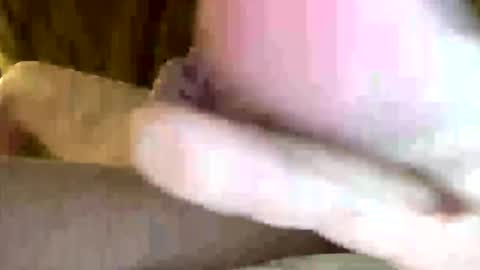 cfnmekim online show from February 3, 4:41 pm