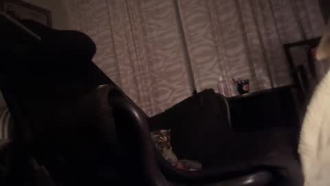 Snapshot of cfnmfriendly chatting on October 23, 4:06 pm cfnmfriendly online show from October 23, 4:06 pm