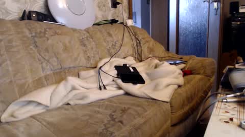 chacoa online show from February 15, 10:03 am