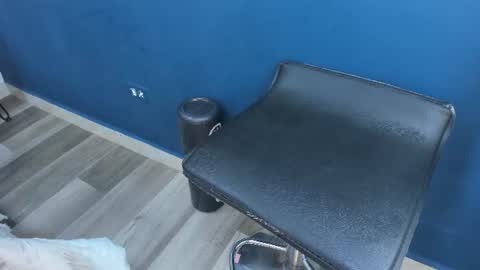 Charlie Musk online show from June 15, 11:34 am