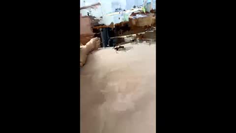 Snapshot of chasejase20333 chatting on December 16, 7:37 am chasejase20333 online show from December 16, 7:37 am