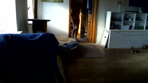 chefben666 online show from February 14, 11:29 am