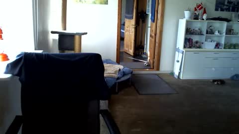 chefben666 online show from March 31, 3:56 pm