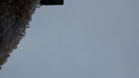 Snapshot of cheffydl chatting on November 9, 12:47 pm cheffydl online show from November 9, 12:47 pm