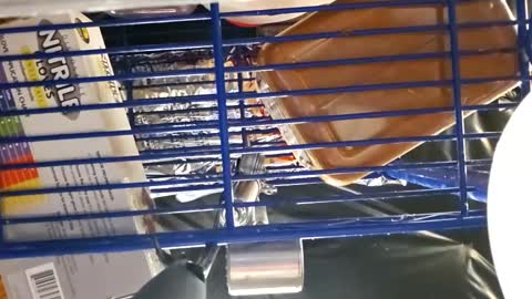 Snapshot of cheffydl chatting on November 16, 11:16 am cheffydl online show from November 16, 11:16 am