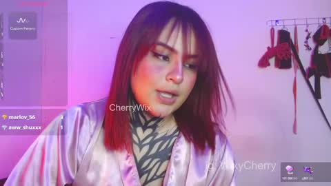 Snapshot of cherrywix chatting on January 19, 2:25 am cherrywix online show from January 19, 2:25 am