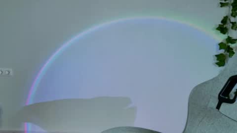 Bella online show from February 16, 9:05 am