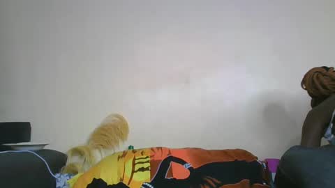 nei online show from February 11, 6:01 pm