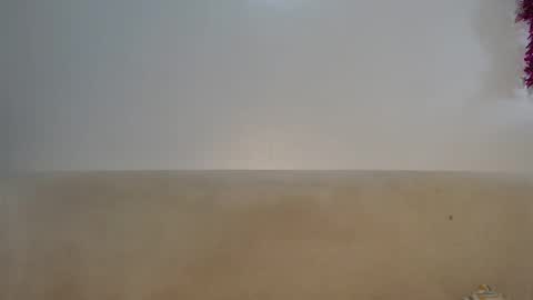 Lofti online show from April 3, 10:24 am