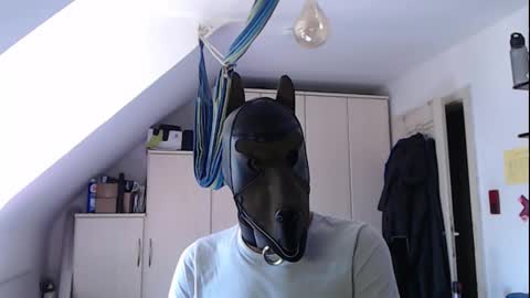 Snapshot of chrisdan_ chatting on September 19, 9:54 am chrisdan_ online show from September 19, 9:54 am