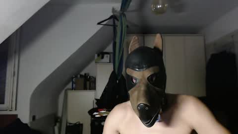 Snapshot of chrisdan_ chatting on November 1, 9:39 pm chrisdan_ online show from November 1, 9:39 pm