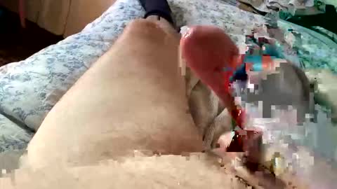 chrishornycocker online show from November 18, 3:05 pm