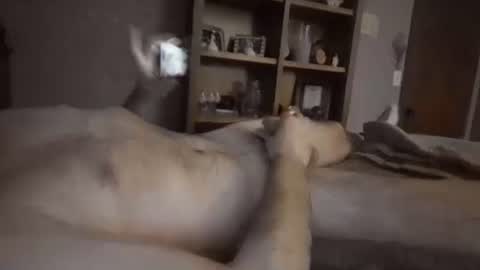 chrisw8121 online show from February 6, 6:40 am