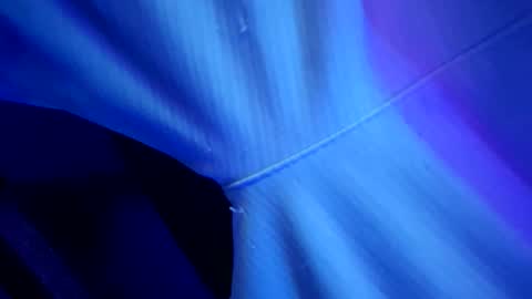 Snapshot of chronicvibez chatting on March 1, 12:56 am chronicvibez online show from March 1, 12:56 am