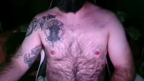 chub bear 99 online show from May 10, 11:10 pm