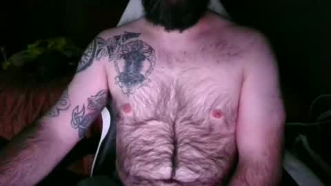 chub bear 99 online show from May 24, 1:21 am