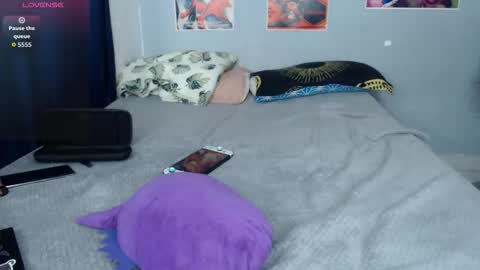 Herbert online show from January 14, 11:20 pm