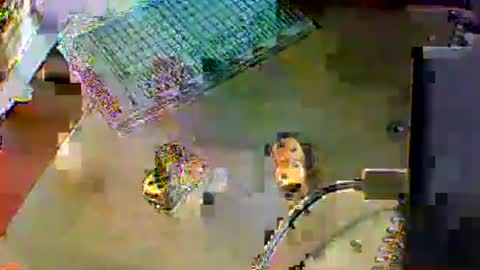 Snapshot of chubbyboy1986 chatting on October 17, 10:01 pm chubbyboy1986 online show from October 17, 10:01 pm