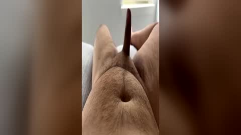 chubbydick9069 online show from June 15, 4:20 pm