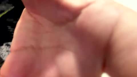 claudiolicro online show from April 12, 8:25 pm