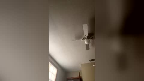 cm653925 online show from February 3, 1:38 pm