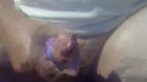 cocktoys online show from March 14, 8:25 pm