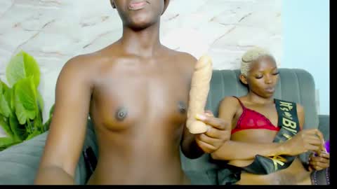 Snapshot of cocoakitty1 chatting on September 23, 1:08 am daniella online show from September 23, 1:08 am