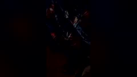 codyonit888 online show from January 11, 1:27 pm