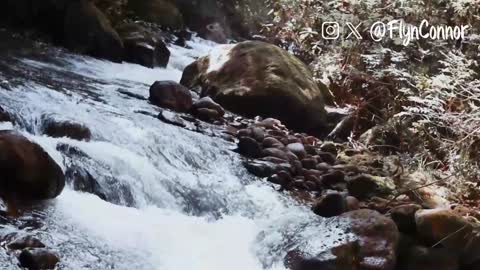 Connor Flyn online show from December 12, 8:47 am