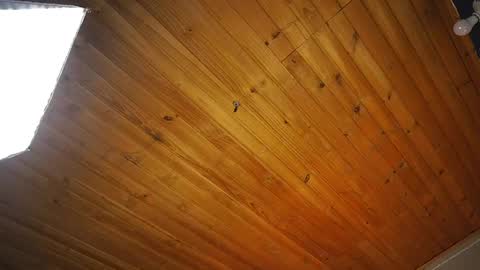 Snapshot of coraline_latin chatting on April 14, 12:55 pm Coraline online show from April 14, 12:55 pm