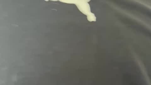 Snapshot of coupleandplay chatting on May 31, 10:44 pm coupleandplay online show from May 31, 10:44 pm