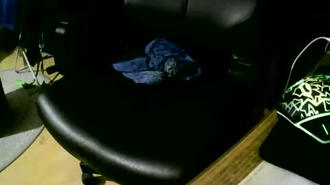 Snapshot of coyote017 chatting on November 17, 9:31 pm coyote017 online show from November 17, 9:31 pm