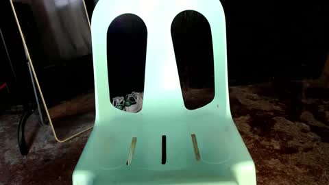 Snapshot of creepylove1 chatting on February 20, 10:15 pm Jay online show from February 20, 10:15 pm