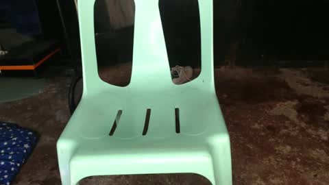 Snapshot of creepylove1 chatting on February 21, 1:33 pm Jay online show from February 21, 1:33 pm