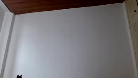 Snapshot of crystal_starx chatting on July 18, 3:49 pm Crystal Blaze online show from July 18, 3:49 pm