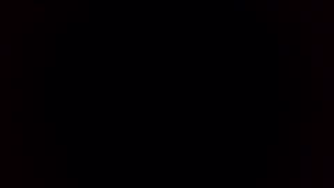 Breeding Bull USA online show from February 3, 9:36 am