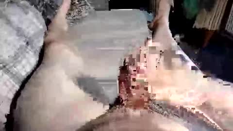 Snapshot of cuminher1975 chatting on October 10, 10:47 am Paul online show from October 10, 10:47 am