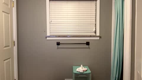 ConCon online show from February 19, 3:50 am