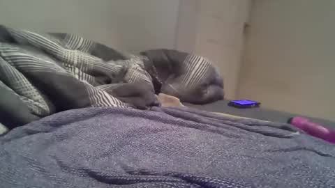 cummbumm69 online show from February 14, 8:16 pm