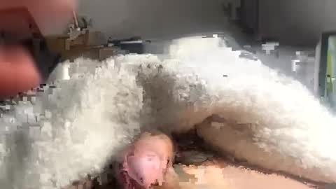 cumonmyf33t online show from February 22, 12:19 pm