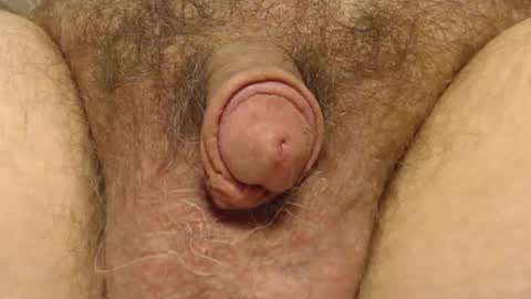 Snapshot of curve66 chatting on February 6, 4:25 pm curve66 online show from February 6, 4:25 pm