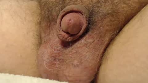 Snapshot of curve66 chatting on November 17, 11:10 pm curve66 online show from November 17, 11:10 pm