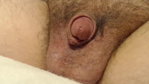 Snapshot of curve66 chatting on December 4, 3:38 am curve66 online show from December 4, 3:38 am