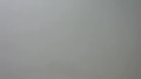 Snapshot of curvylizy chatting on June 24, 2:49 pm liz online show from June 24, 2:49 pm