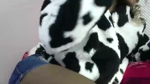 cutezola online show from March 27, 8:26 am