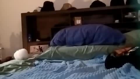 Kasey Xdresser online show from February 17, 6:03 pm