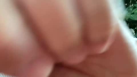 Snapshot of daddydick926 chatting on September 11, 1:22 pm daddydick926 online show from September 11, 1:22 pm